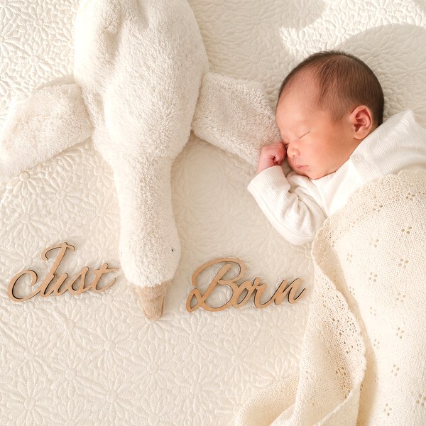 木製 レターバナー just born ニューボーンフォト ジャストボーン 月齢フォト マンスリーフォト