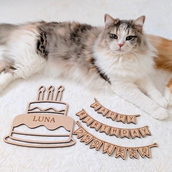 New 3点セット 名入れ ケーキ うちの子記念日 誕生日 ハッピーバースデー バースデーフォト 撮影アイテム